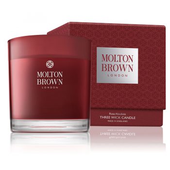 Rosa Absolute – Candela
